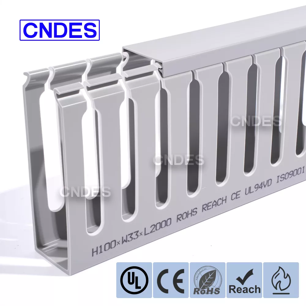 إدارة كابلات حامل الخادم 100×33